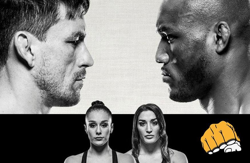 UFC Fight Night 129 - Les posters et les affiches