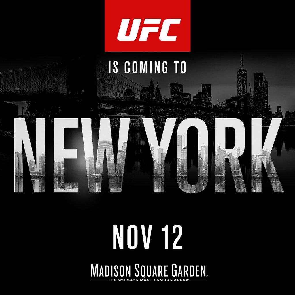 UFC 205 - Extended Preview