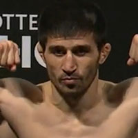 Rustam Khabilov Tiger Rustam Khabilov Tiger