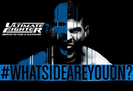 TUF 21 - THE ULTIMATE FIGHTER 21 FINALE