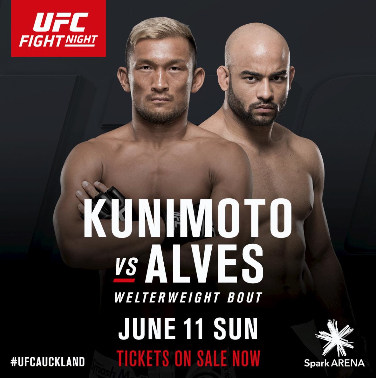 Poster/affiche UFC Fight Night 110- Auckland