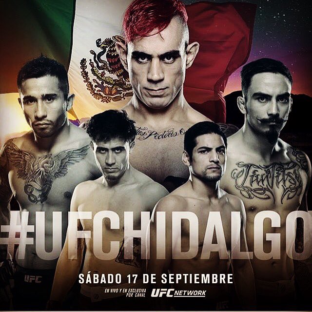 Poster/affiche UFC Hidalgo