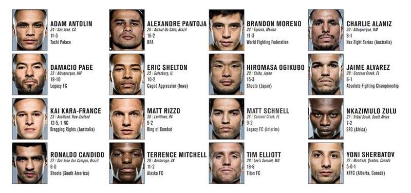ultimate fighter 24