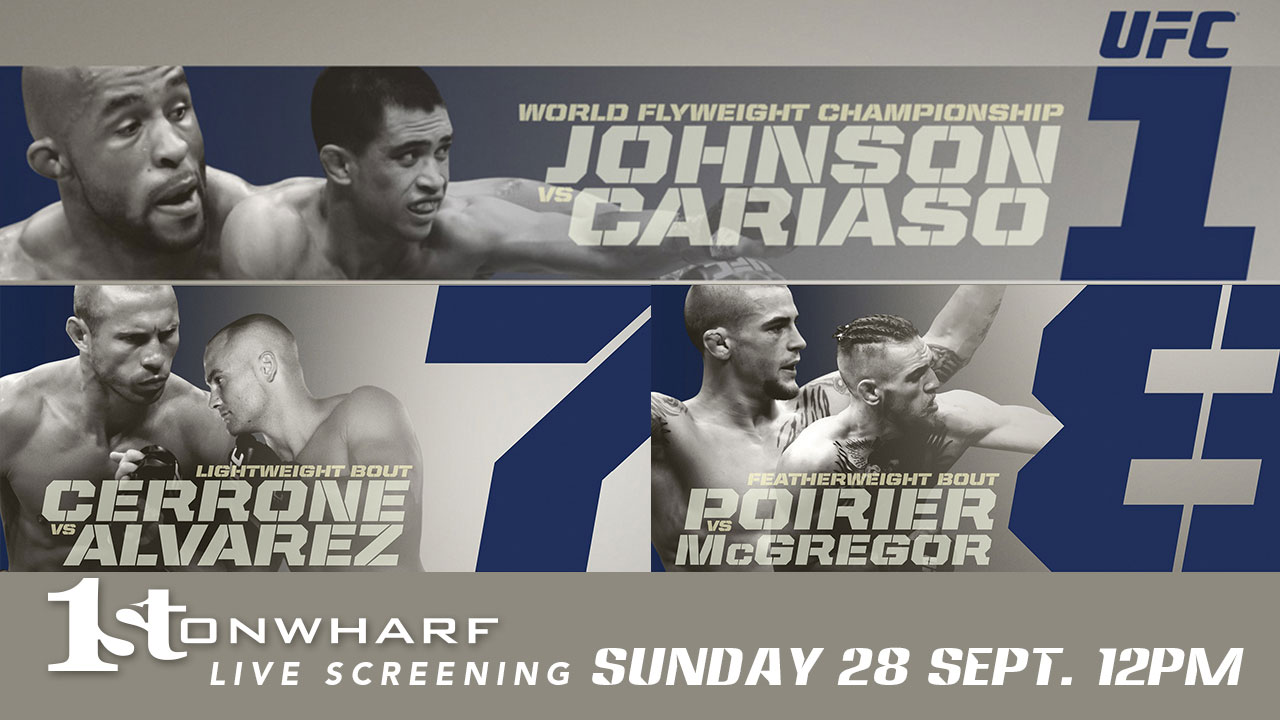 Poster/affiche UFC 178