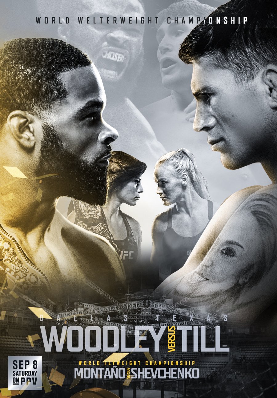 Poster/affiche UFC 228