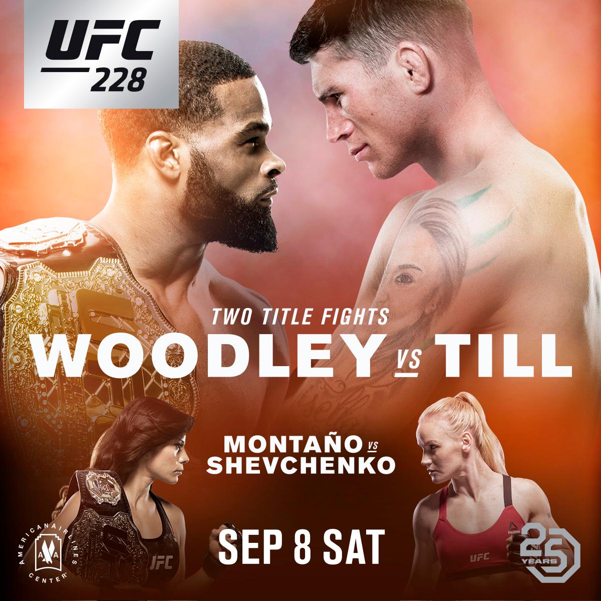 Poster/affiche UFC 228