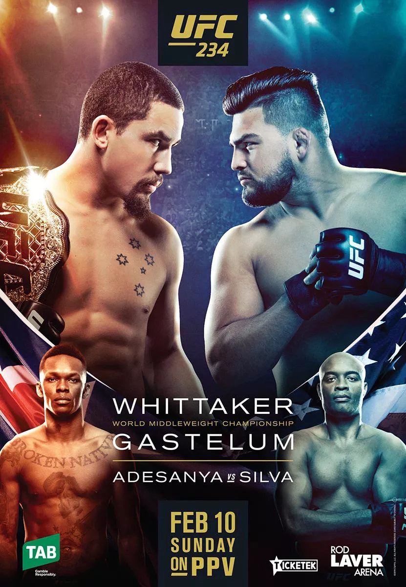 Poster/affiche UFC 234
