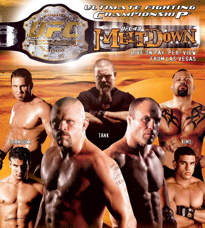 Poster/affiche UFC 43