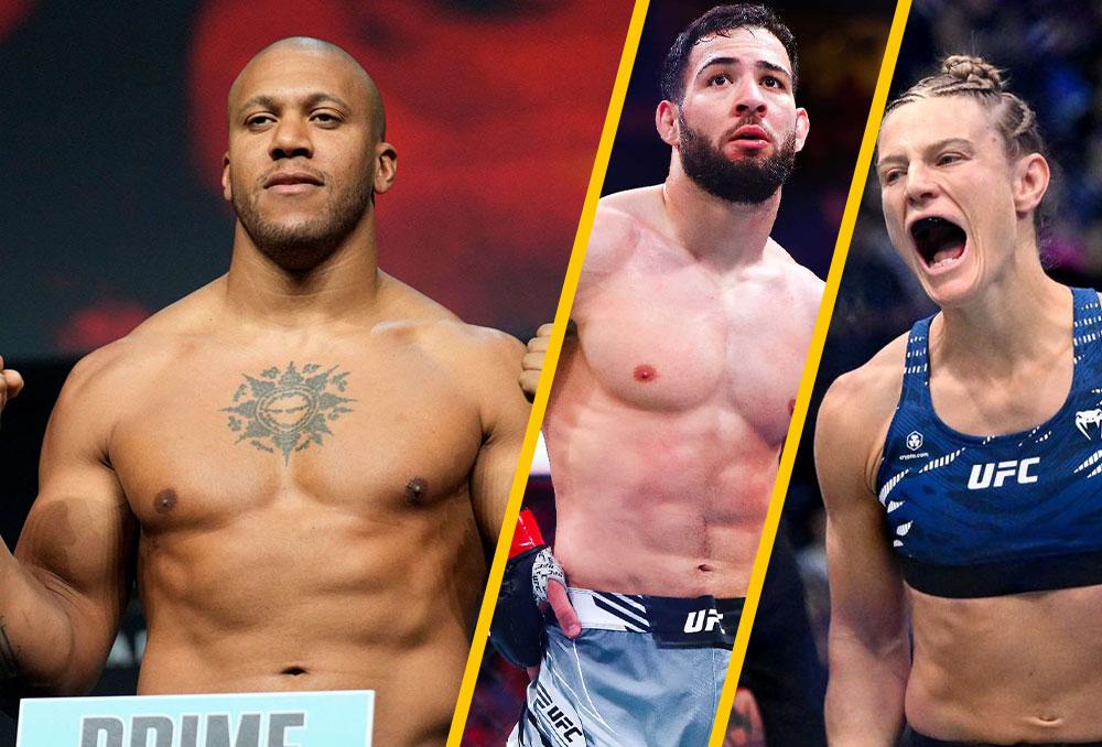 Les combattants français les plus titrés de l'UFC - une histoire à succès