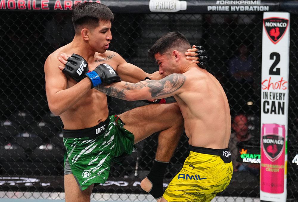 UFC 317 - Fight Motion | Las Vegas