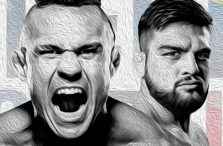 UFC Fight Night 106 - Les posters et les affiches