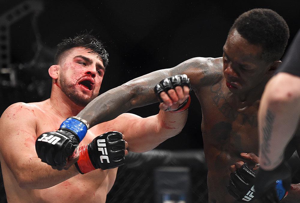 Compilation des finitions les plus violentes de la division des poids moyens