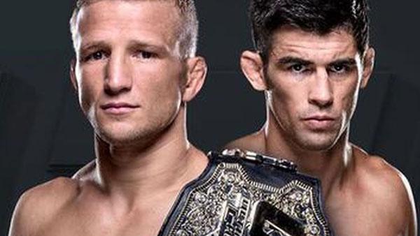 UFC Fight Night 81 - La carte des combats