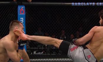 UFC 223 - Fight Motion