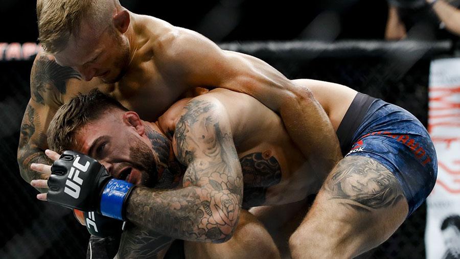 UFC 227 - T.J. Dillashaw contre Cody Garbrandt