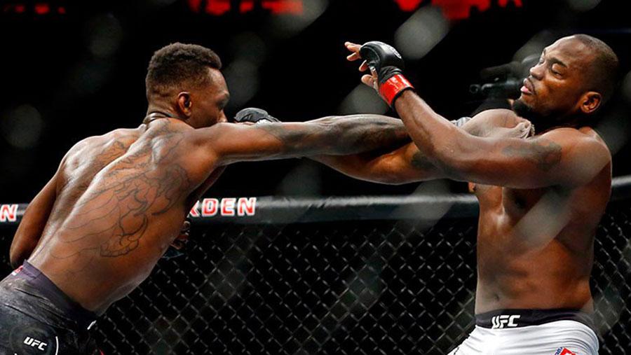 UFC 230 - Résultats : photos, vidéos