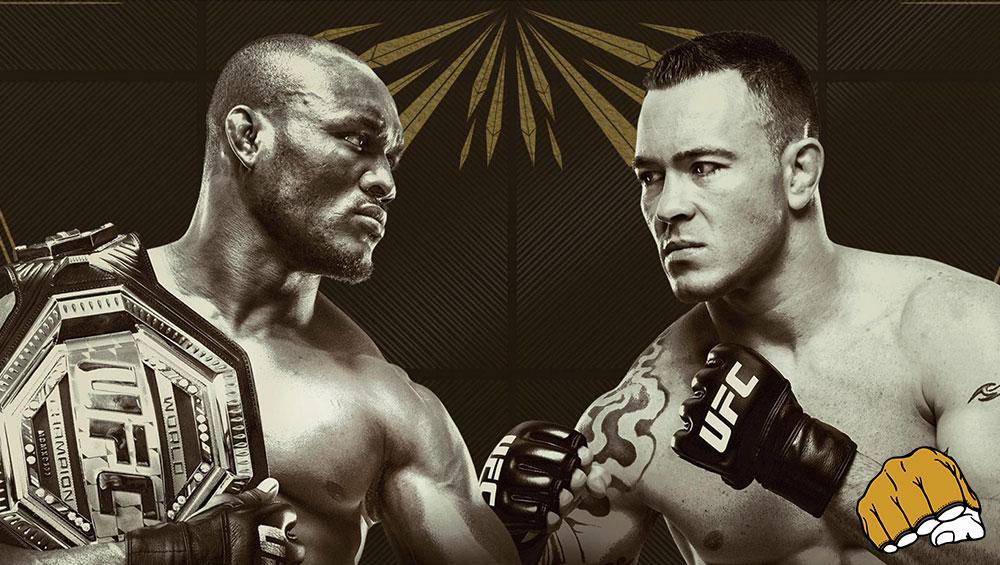 UFC 245 - Les posters et les affiches