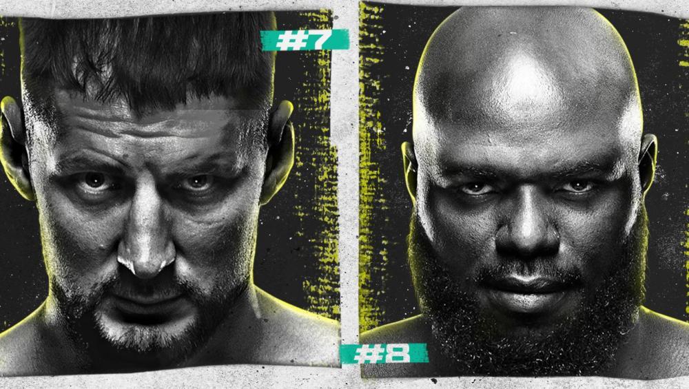 UFC on ESPN+ 65 - Combats annulés / reprogrammés