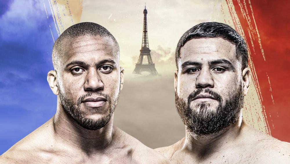UFC Paris - Les posters et les affiches