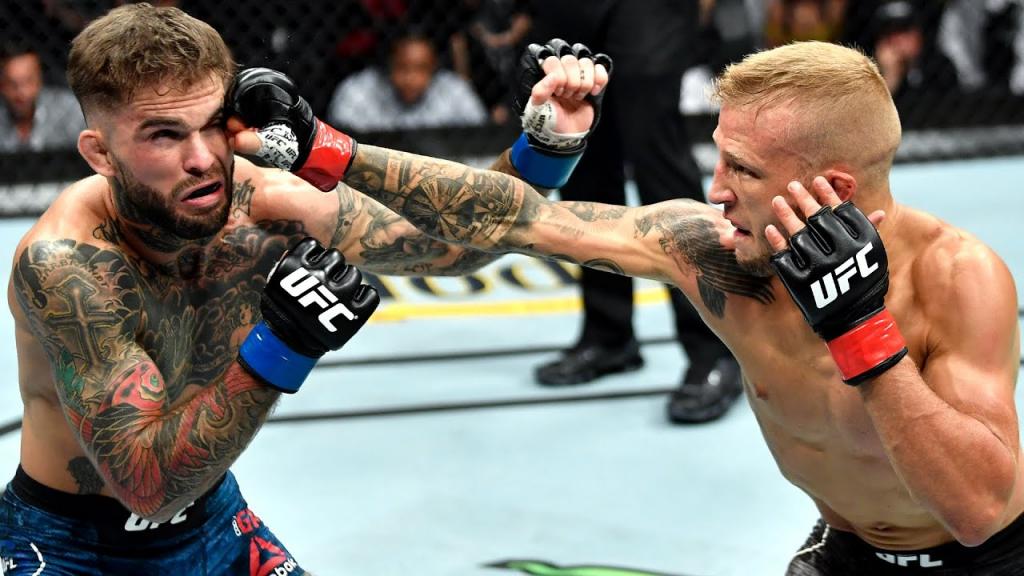 TJ Dillashaw | Les plus belles victoires