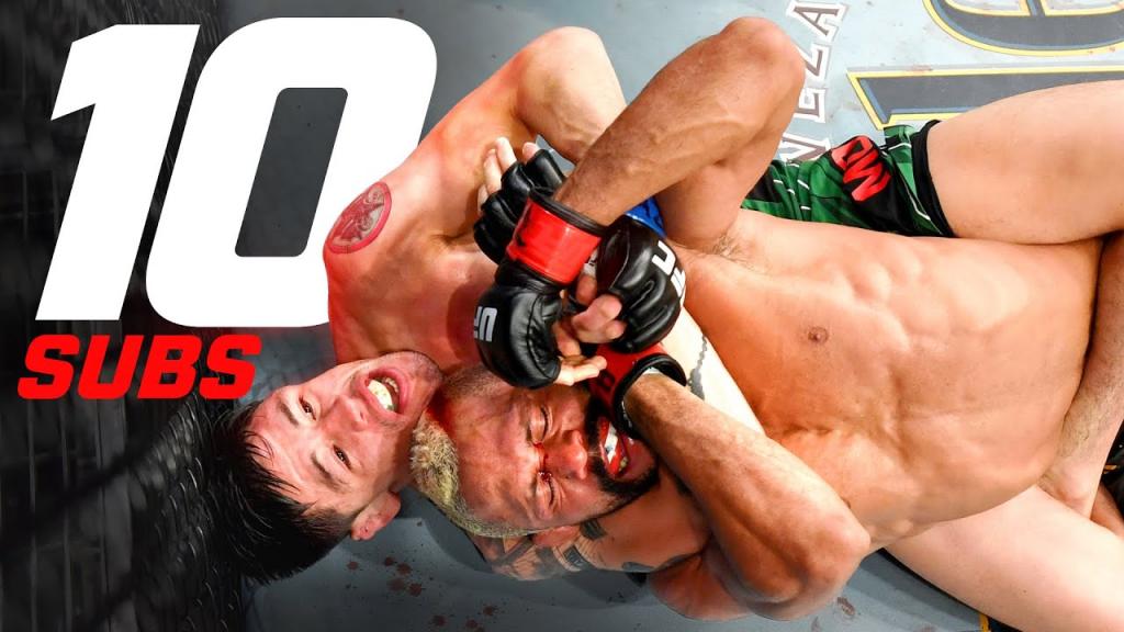 TOP 10 - Soumission chez les poids mouches (Flyweight)