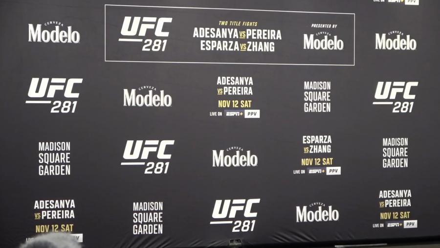 UFC 281 - La pesée : résultats, videos, photos