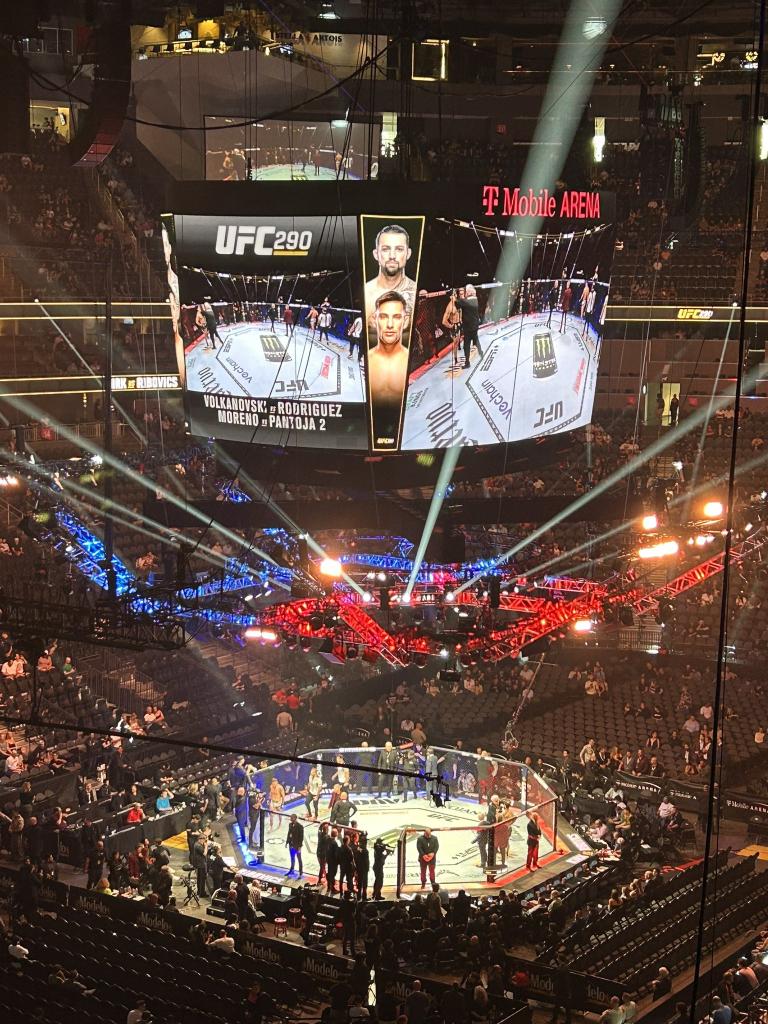 UFC 290 - Photos