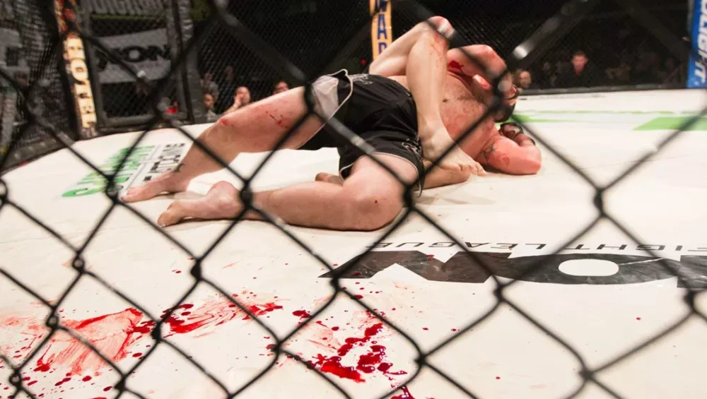 Gros plan sur les espoirs du MMA en France