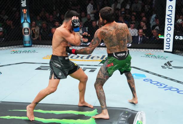 UFC 292 - Photos