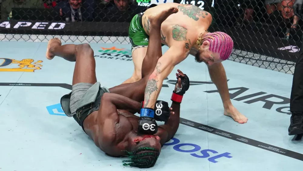 Video : Sean O'Malley met Aljamain Sterling KO à l'UFC 292