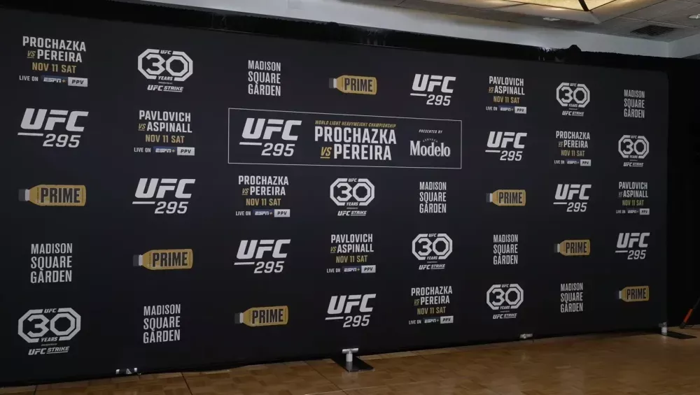 UFC 295 - La pesée officielle | New York City