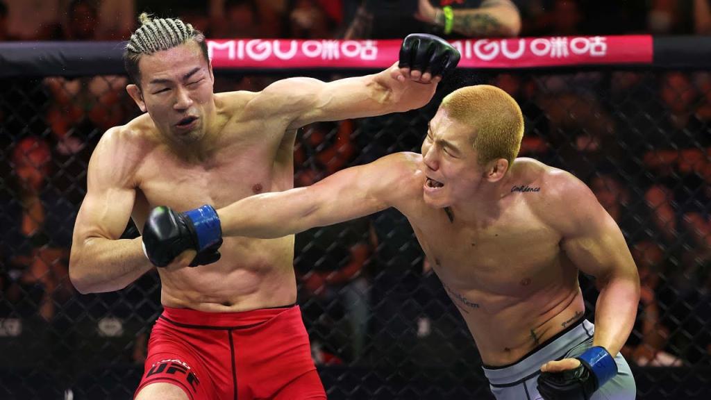 Road to UFC - Les meilleures finitions des combattants de la saison 2