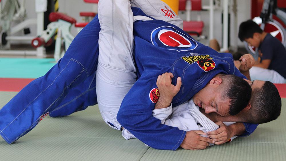 Découvrez le Jiu-Jitsu Brésilien : Un Art Martial en Pleine Expansion