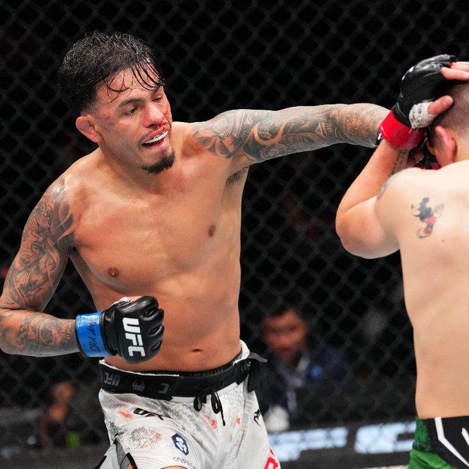 Une bataille acharnée entre Royval et Moreno se termine par une décision partagée | UFC Mexico City