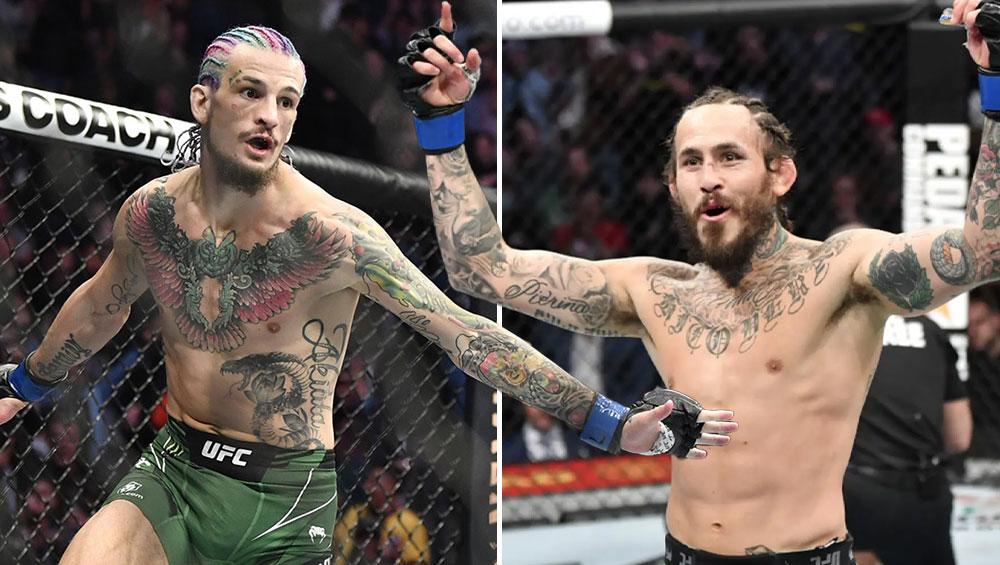 Présentation du combat entre Sean O'Malley vs. Marlon Vera pour la suprématie des poids coqs | UFC 299