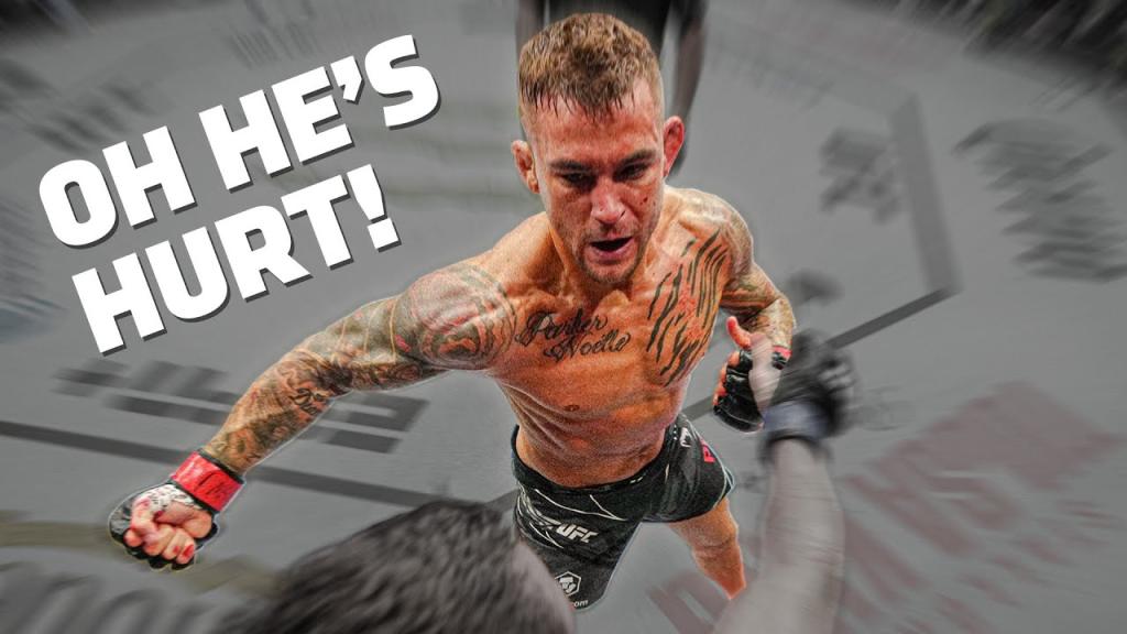 Les meilleures finitions de Dustin Poirier