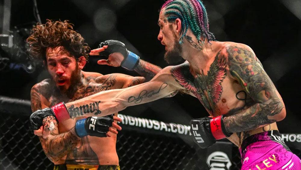 Sean O'Malley s'en prend violemment à Marlon Vera