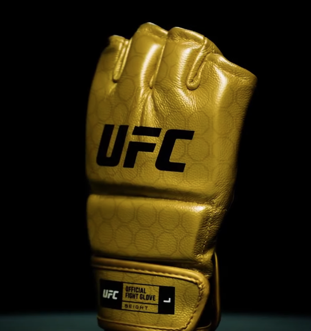 L'UFC dévoile leurs nouvelles gammes de gants