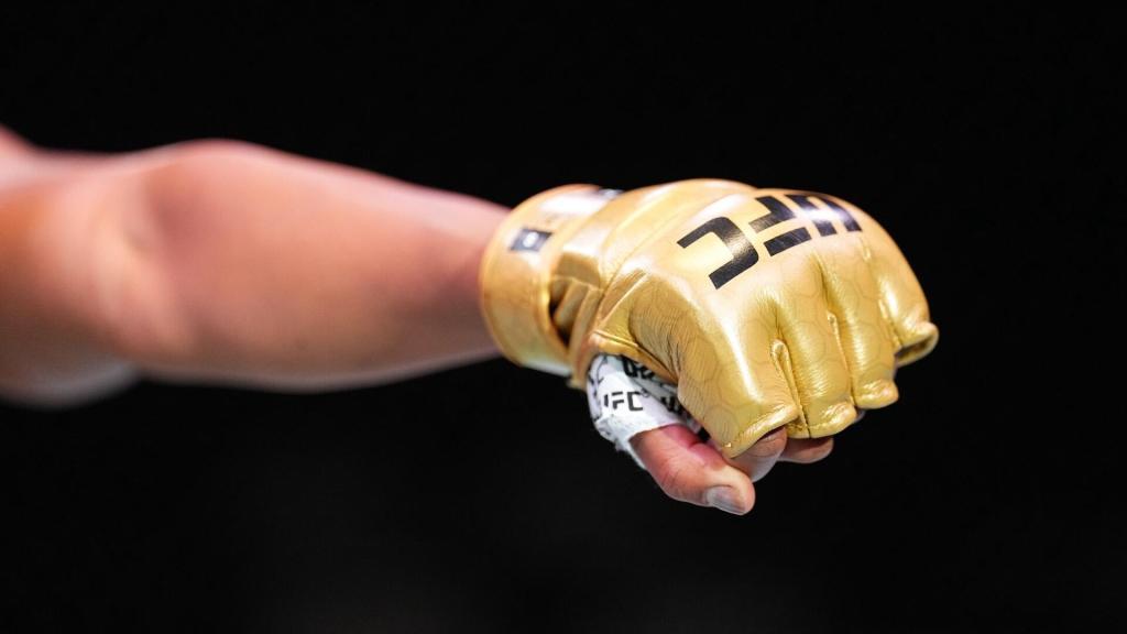 L'UFC dévoile leurs nouvelles gammes de gants