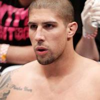 Brendan Schaub Big Brown