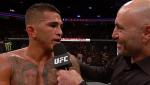 Anthony Pettis Showtime