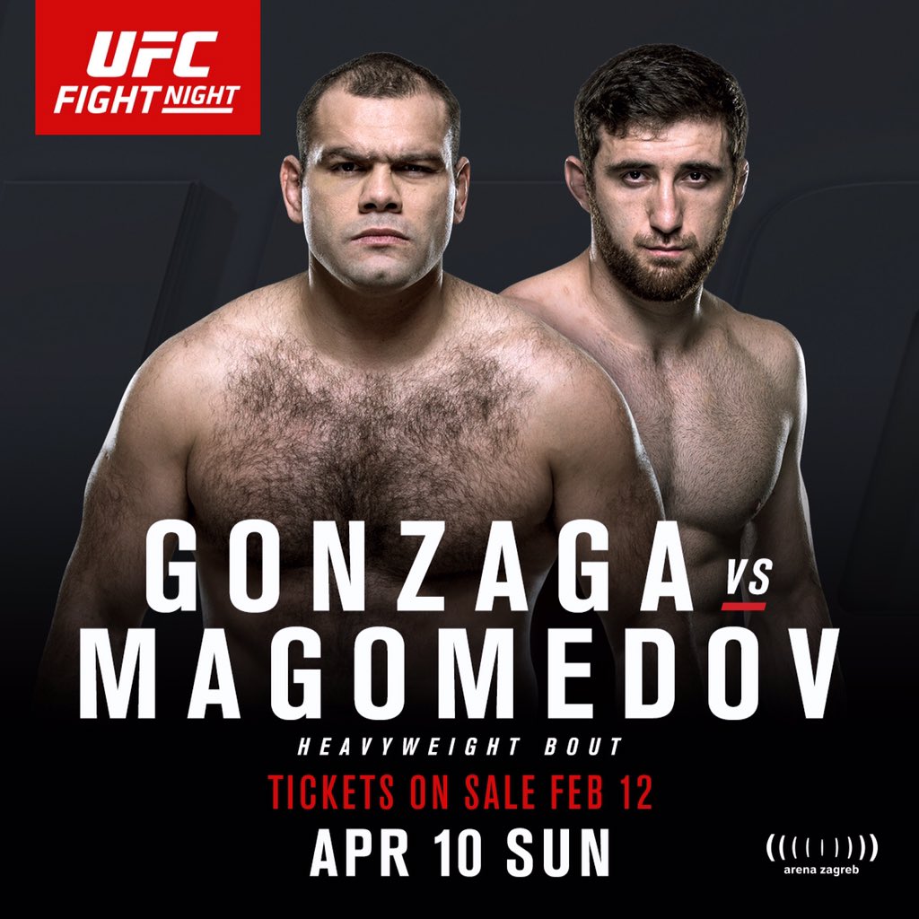 Gabriel Gonzaga vs. Ruslan Magomedov