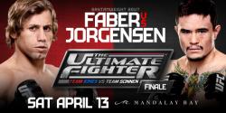 TUF 17 - THE ULTIMATE FIGHTER 17 FINALE