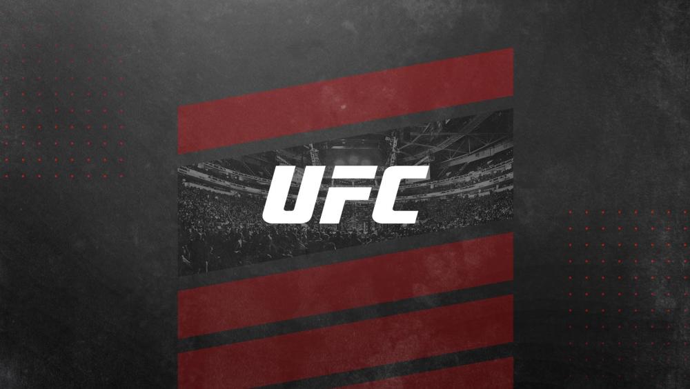 UFC 302 - UFC Fans