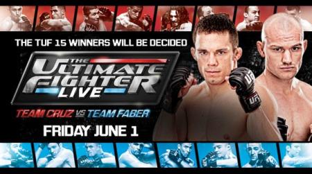 TUF 15 - THE ULTIMATE FIGHTER 15 FINALE