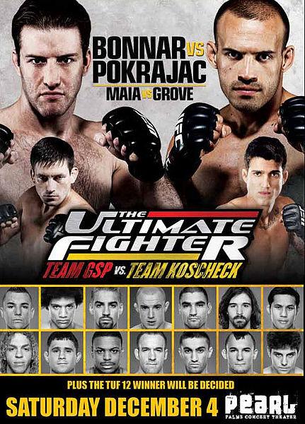 THE ULTIMATE FIGHTER 12 FINALE