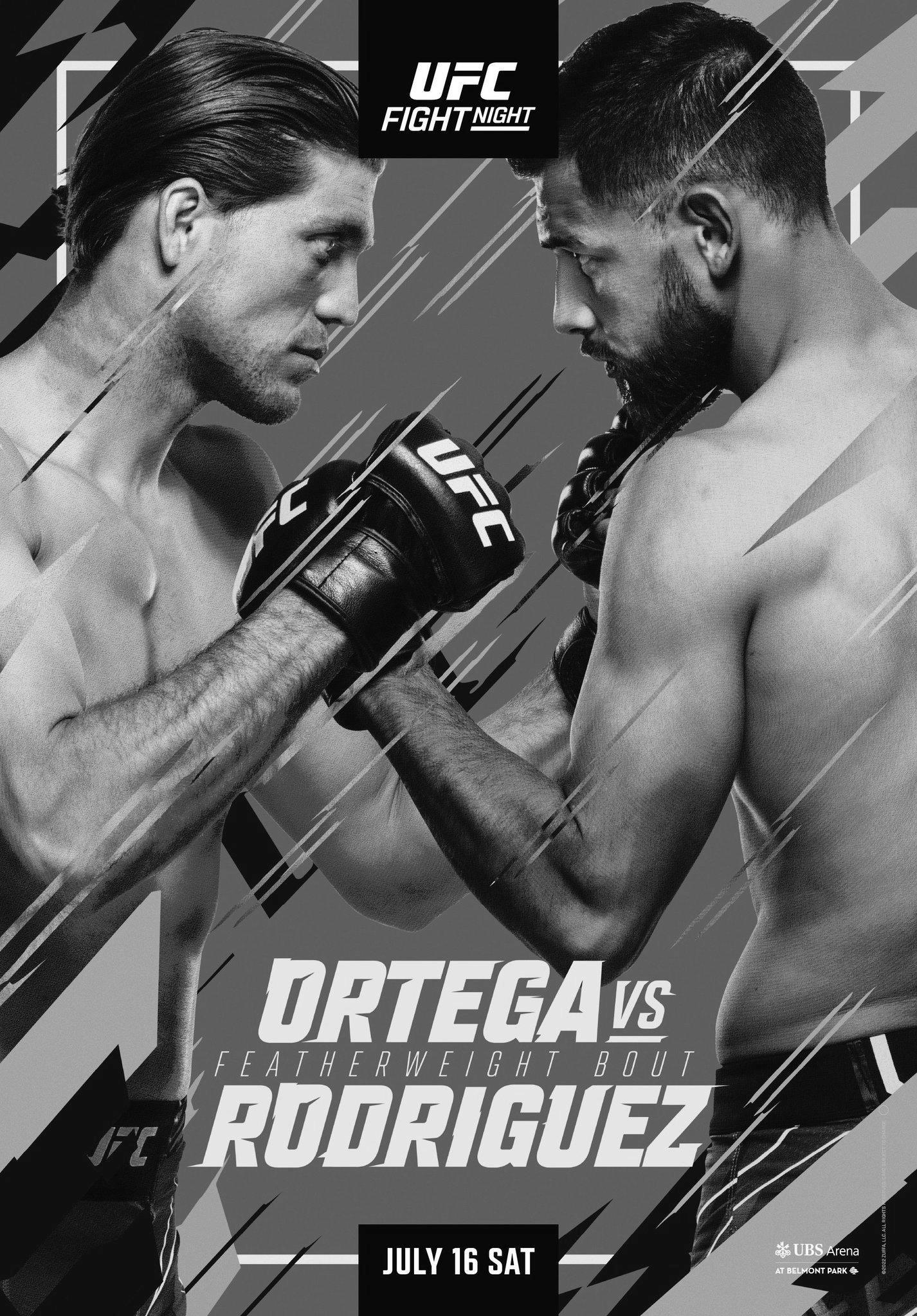 UFC on ABC 3 - Long Island - Poster et affiche