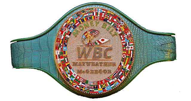 Mayweather vs McGregor Money Belt