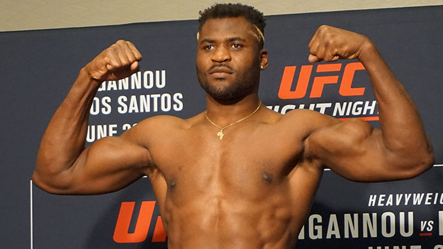 Francis Ngannou contre Junior Dos santos