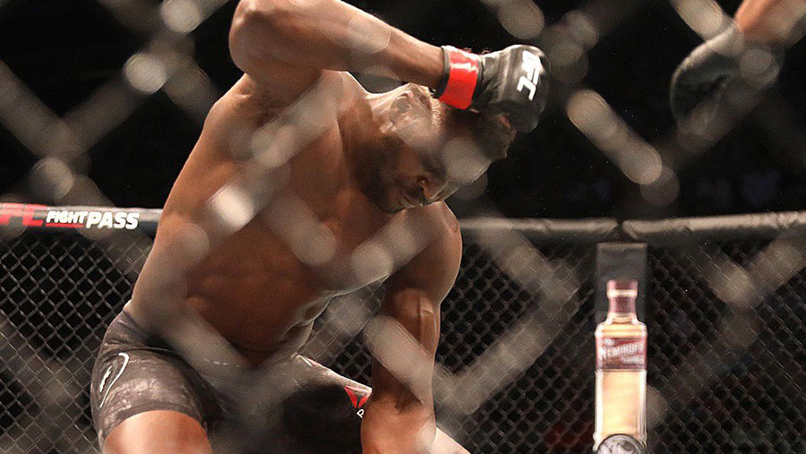 Francis Ngannou contre Junior Dos santos